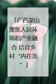 广西蒙山聚焦人居环境和产业融合 培育乡村“内在美”